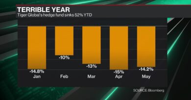 Tiger Global Hedge Fund Loses 52%