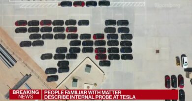 Top Musk Lieutenant at Tesla Under Investigation for Purchase Order