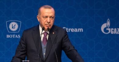 Turkey’s Erdogan Pledges More Rate Cuts