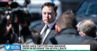 Twitter’s Ad Pullback Has Elon Mad