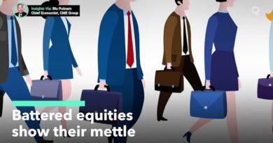 U.S. Equities Prove Their Mettle