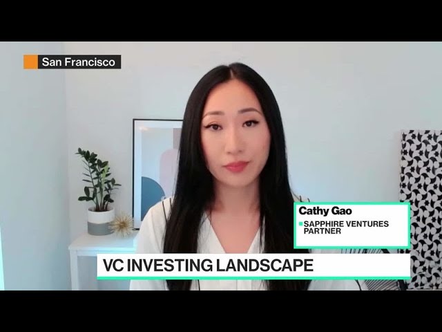 VC Investing and Market Volatility