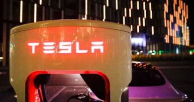 Vote to Expand Tesla German Plant Is Postponed