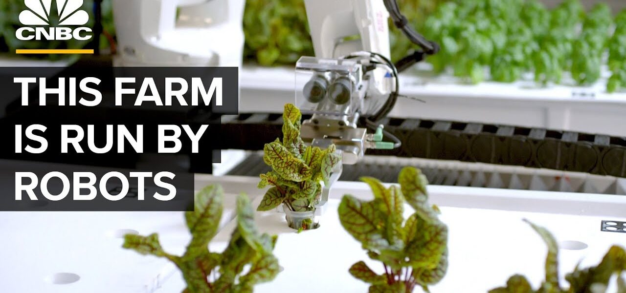 Watch Robots Grow Food Without Farmers