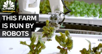 Watch Robots Grow Food Without Farmers