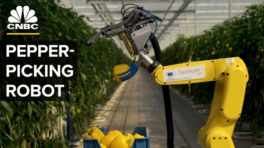 Watch This AI Robot Pick Peppers With A Tiny Saw