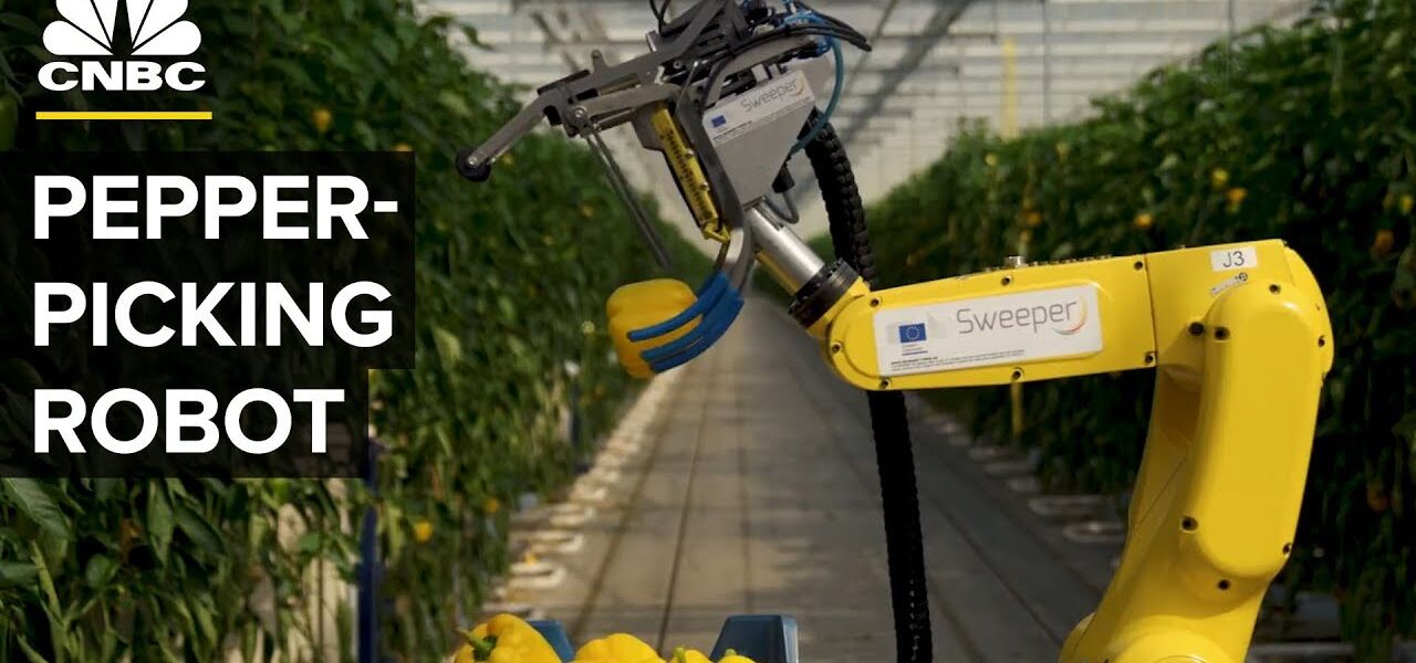 Watch This AI Robot Pick Peppers With A Tiny Saw