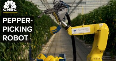 Watch This AI Robot Pick Peppers With A Tiny Saw