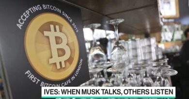 Wedbush Securities’ Ives on Tesla’s Investment in Bitcoin