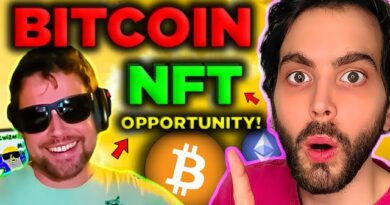 What are Bitcoin Ordinal NFTs? 100x Opportunity 🎯 (WATCH ASAP)