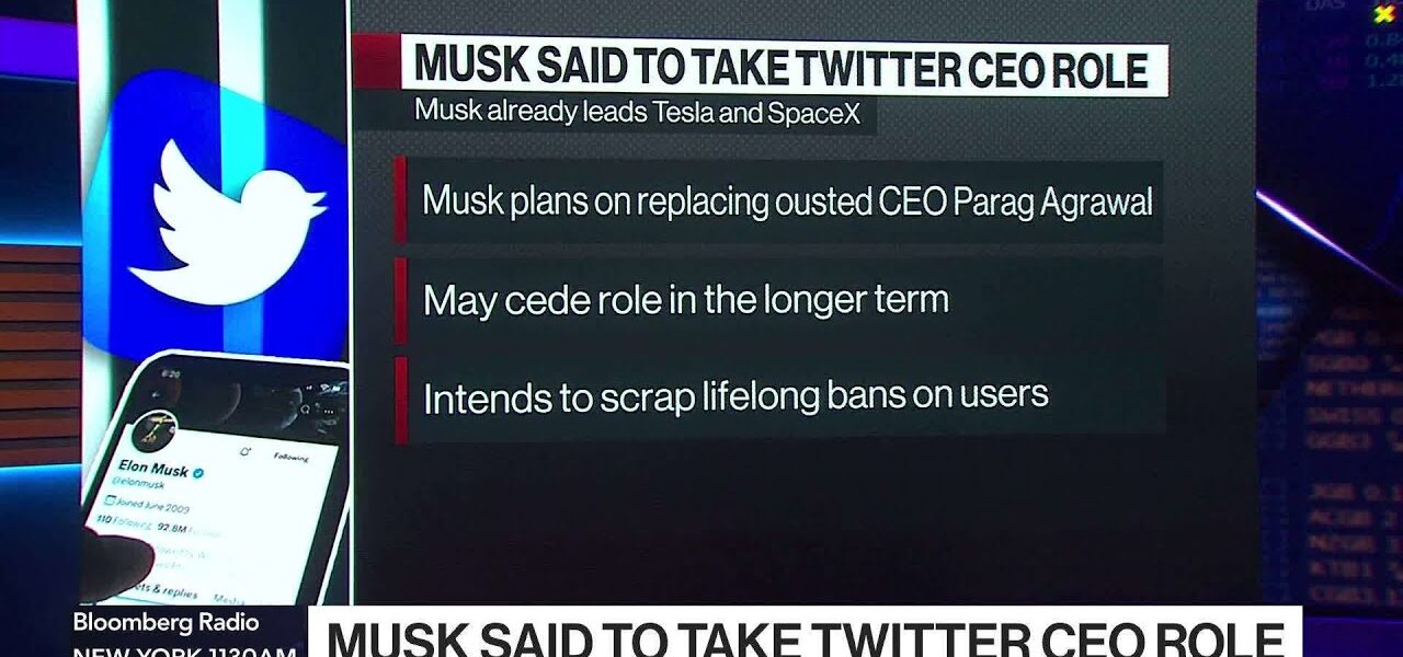 What Will Elon Musk Do With Twitter?