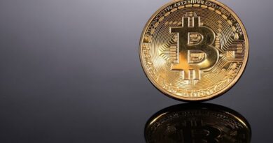 What’s Behind Bitcoin’s Winning Run?