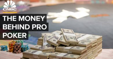 Who Makes Money From Professional Poker?