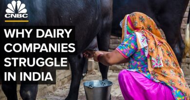 Why Big Dairy Companies Struggle In India