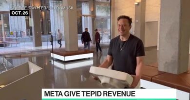 Why Did Elon Musk Walk Into Twitter With a Kitchen Sink?