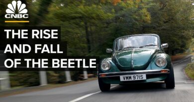 Why Did Volkswagen Kill The Beetle?