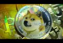 Why Elon Musk Likes Dogecoin