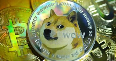 Why Elon Musk Likes Dogecoin