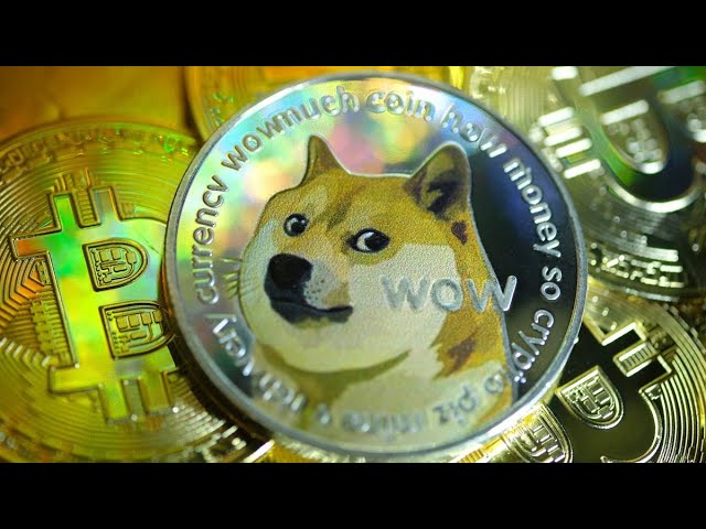 Why Elon Musk Likes Dogecoin