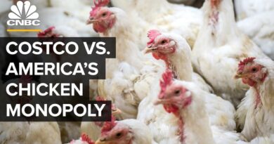 Why Is Costco Opening Its Own Chicken Farm?