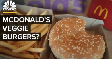 Why McDonald’s Doesn’t Have A Vegan Meat Burger In The US