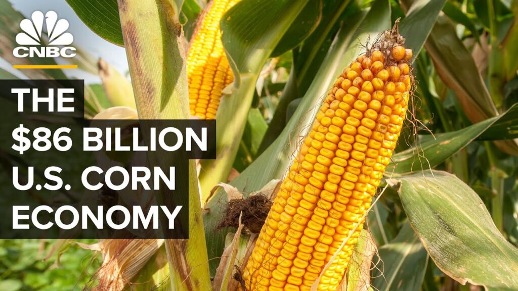 Why The U.S. Government Is (Still) Obsessed With Corn