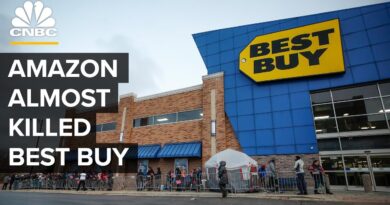 Will Best Buy Survive Amazon?