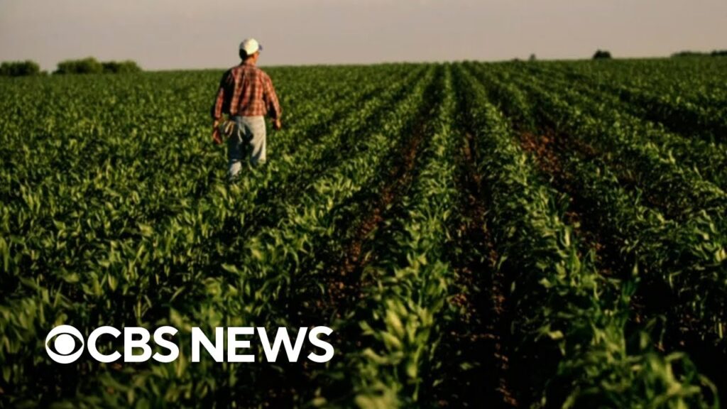 Agriculture Secretary Tom Vilsack discusses rising food prices