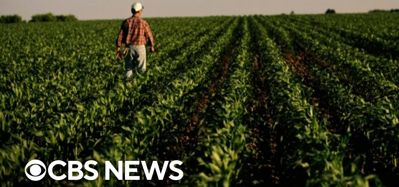 Agriculture Secretary Tom Vilsack discusses rising food prices