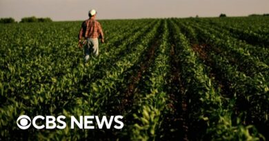 Agriculture Secretary Tom Vilsack discusses rising food prices