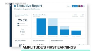 Amplitude CEO on Strong First Earnings