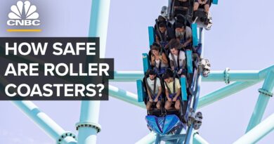 Are Roller Coasters Actually Safe?