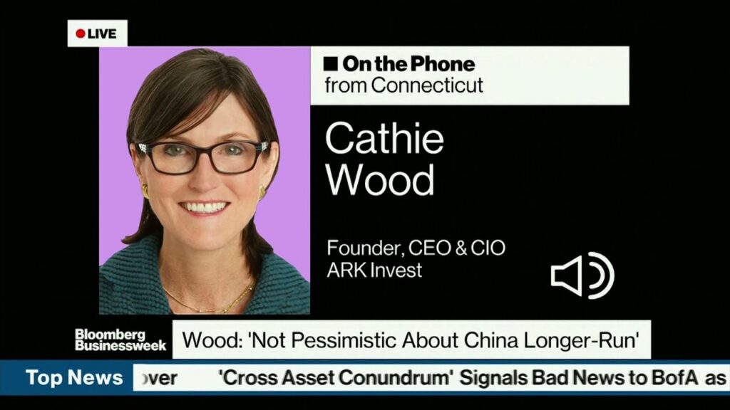 Ark’s Cathie Wood on Investing in China, Tesla, Chip Shortage