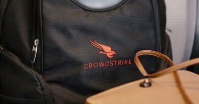 Big Game Hunting in Cyberspace Is Accelerating: Crowdstrike CEO