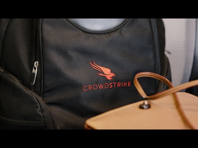 Big Game Hunting in Cyberspace Is Accelerating: Crowdstrike CEO