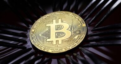 Bitcoin Plunges Days After Reaching Record High