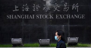 BlackRock: Chinese Stocks’ Rally to Continue Into 2021