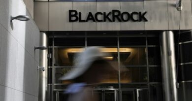 BlackRock Is ‘Broadly Constructive’ on Risk Assets: Harrison