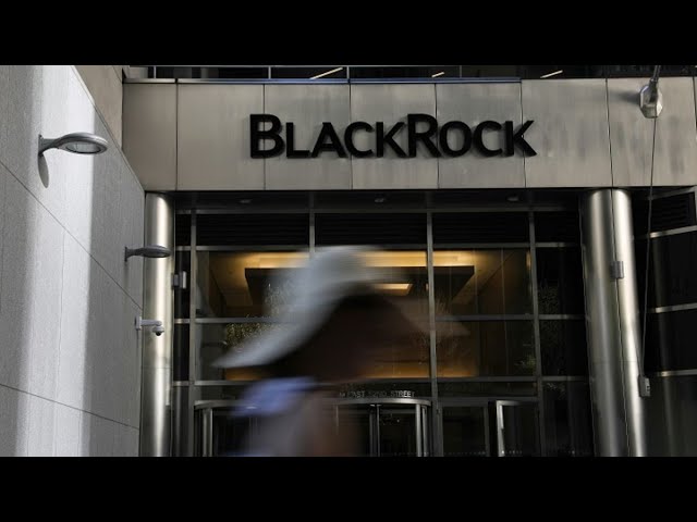 BlackRock Is ‘Broadly Constructive’ on Risk Assets: Harrison