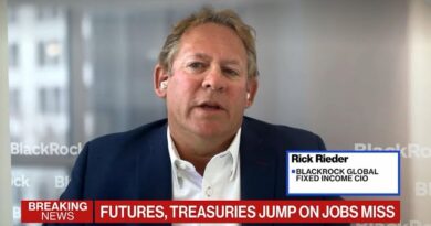 BlackRock’s Rieder: A Lot of Error Factor in Jobs Report