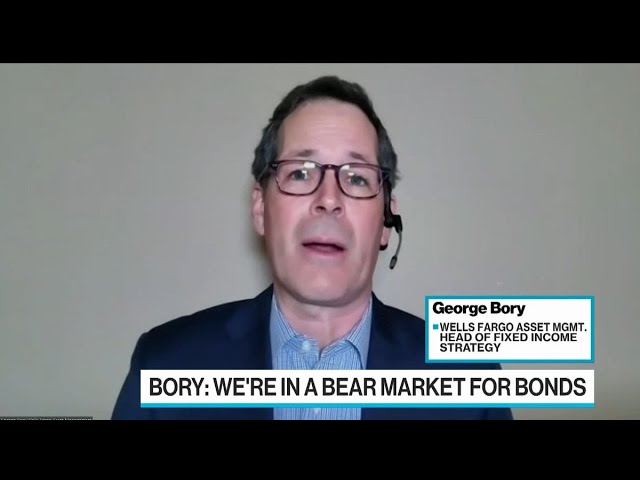 Bonds Are in a Bear Market: George Bory