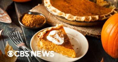 Can generic ingredients save you money this Thanksgiving?