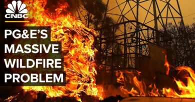 Can PG&E Stop Causing So Many Fires In California?