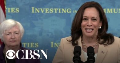 Vice President Kamala Harris announces .2 billion for community lenders