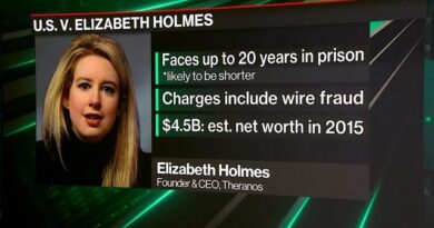 Elizabeth Holmes Should Be Held Accountable: Ellen Pao