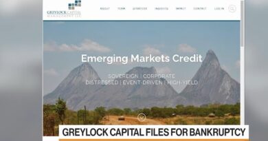 EM Hedge Fund Greylock Files for Bankruptcy