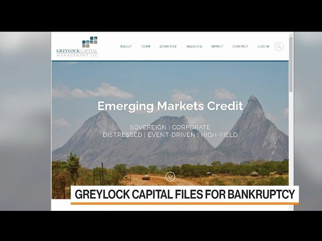 EM Hedge Fund Greylock Files for Bankruptcy