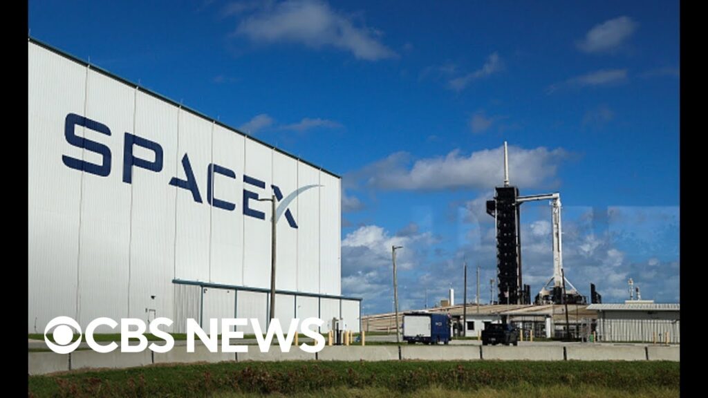 SpaceX employees file lawsuit alleging they were fired for criticizing CEO Elon Musk