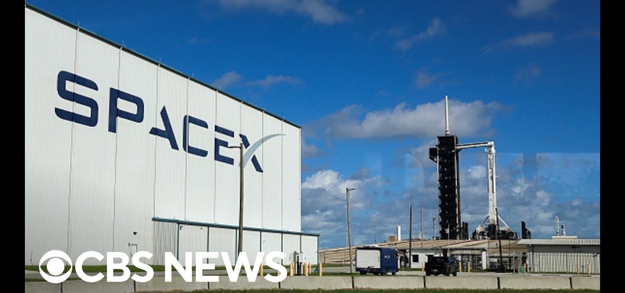 SpaceX employees file lawsuit alleging they were fired for criticizing CEO Elon Musk