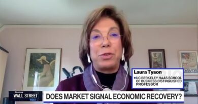 Expect Rocky Several Months for Markets: Laura Tyson